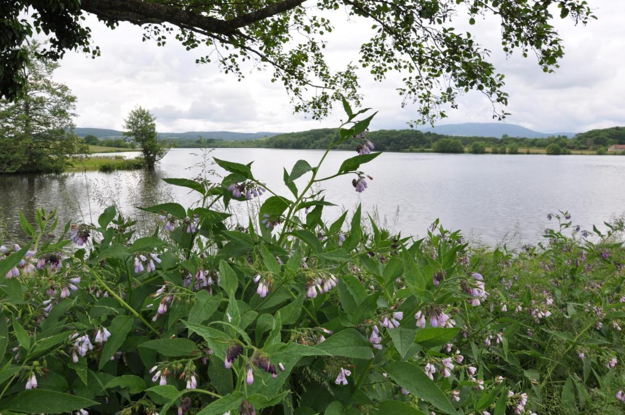 Canal Du Nivernais Gites Le Champ Radis Marigny-sur-Yonne Экстерьер фото